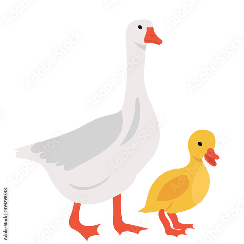 goose flat design, isolated, vector