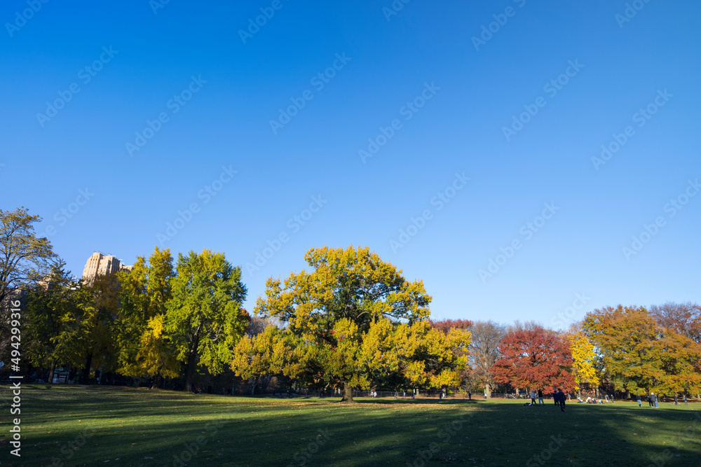 NEW YORK, NEW YORK USA – NOVEMBER 24: Evening sunlight illuminates the Sheep Meadow and relaxing people at Central Park in autumn on November 24, 2021 in New York City NY USA.
NEW YORK, NEW YORK USA – NOVEMBER 24: Evening sunlight illuminates the Sheep Meadow and relaxing people at Central Park in autumn on November 24, 2021 in New York City NY USA.