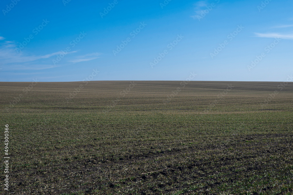 Ploughed field and blue sky as background.