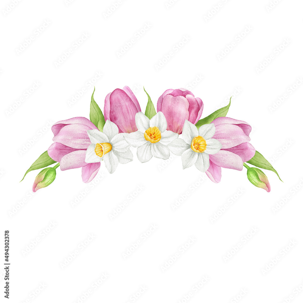 Watercolor pink tulip and daffodil flowers bouquet. Botanical spring blossom frame. Hand painted wreath. Floral arrangement for wedding invitation and card. Watercolor pink tulip and daffodil flowers bouquet. Botanical spring blossom frame. Hand painted wreath. Floral arrangement for wedding invitation and card.