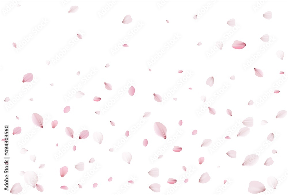 Sakura petals. Cherry petals backdrop