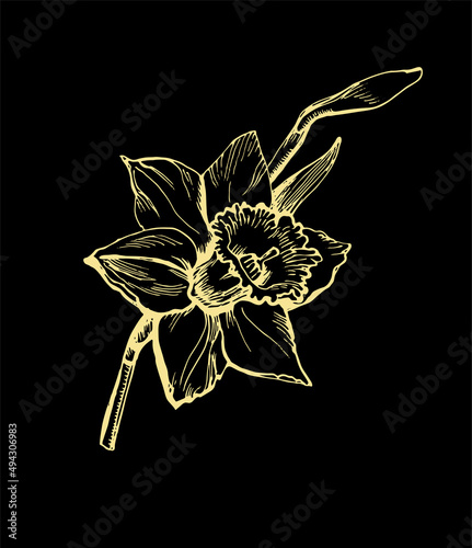 Greeting card with outline hand drawn delicate daffodil flower and bud isolated on black. Perfect for create floral card, textile print, embroidery, pillows, napkins, packaging, wedding invitation