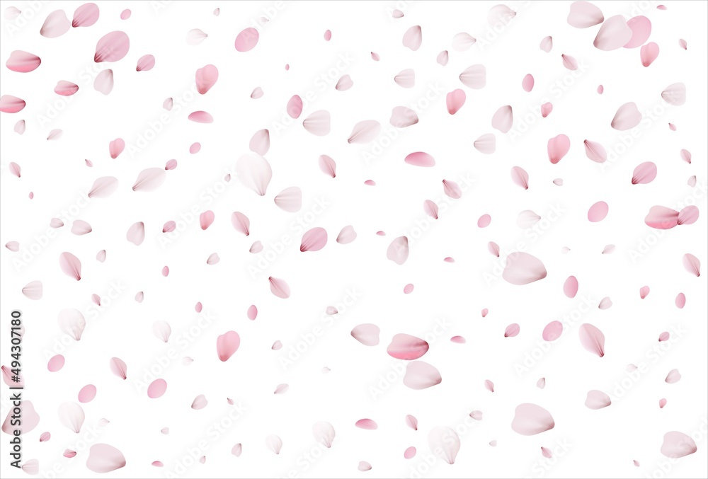 Sakura petals background. Cherry petals