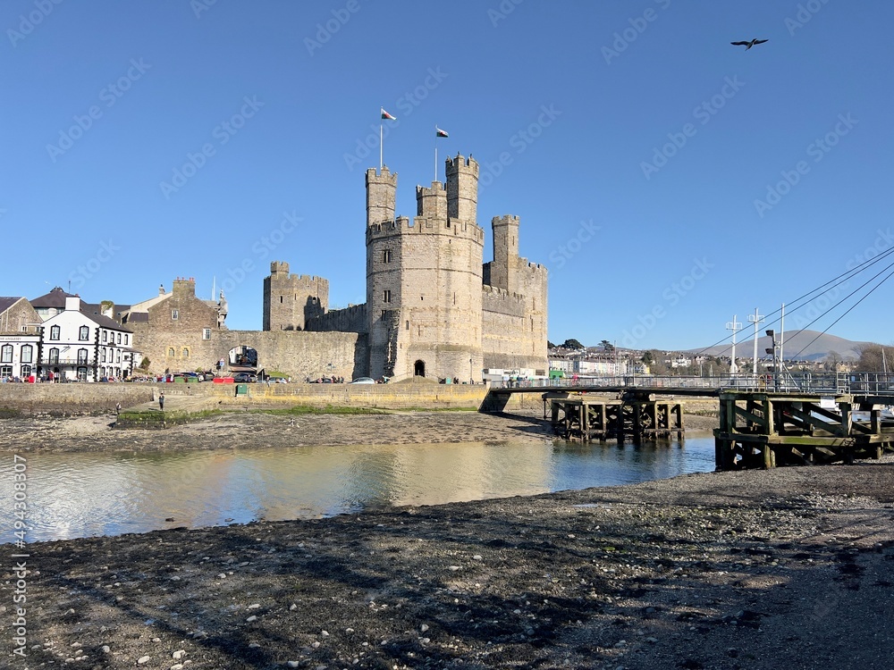 Fototapeta premium caernarfon castle harbor