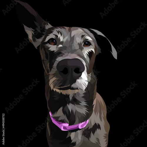 Dog vector pop art colorful transparent background