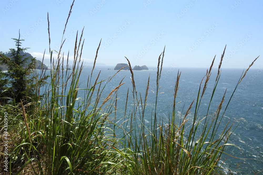 Scenic view from the Oregon Coast, Cape Meares, of the Three Arch Rocks National Wildlife Refuge, offshore islands, Tillamook County.
