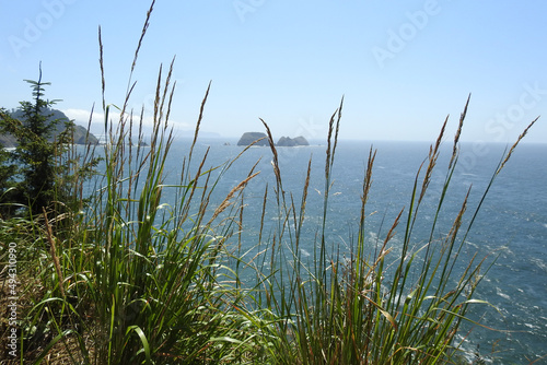 Scenic view from the Oregon Coast  Cape Meares  of the Three Arch Rocks National Wildlife Refuge  offshore islands  Tillamook County.