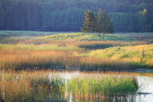 Fotografie, Obraz Echo ponds Roztocze National Park