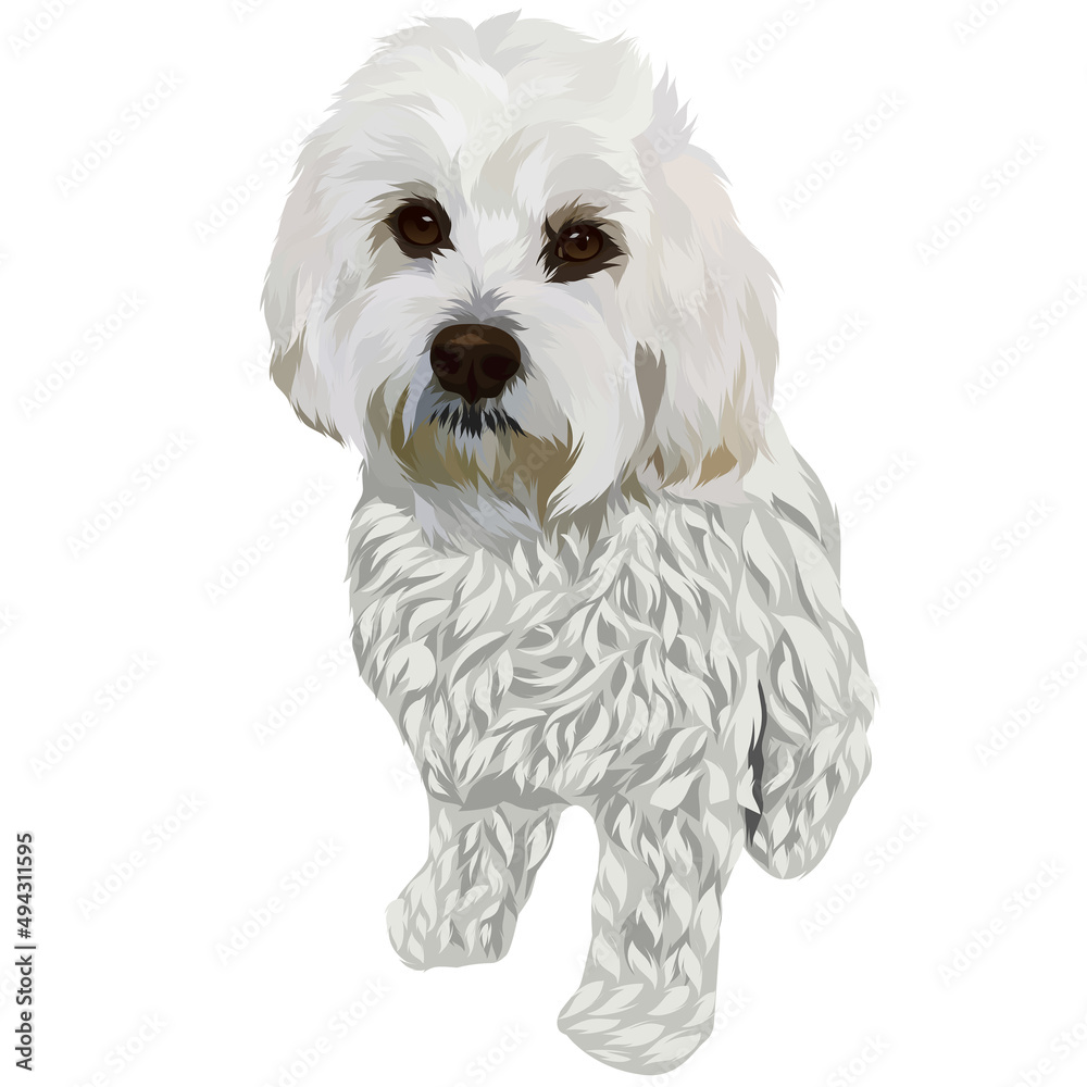 Obraz premium Dog and cat pop art illustration white background