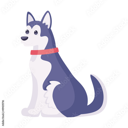 Isolated cute siberian husky dog breed cartoon Vector illustration