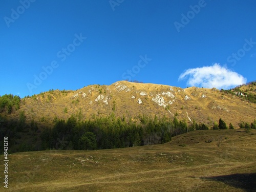 View of sunlit slopes of Kamniski vrh in Kamnik-Savinja alps, Slovenia lit by sunlight covered in grass, low broadleaf trees and spruce forest