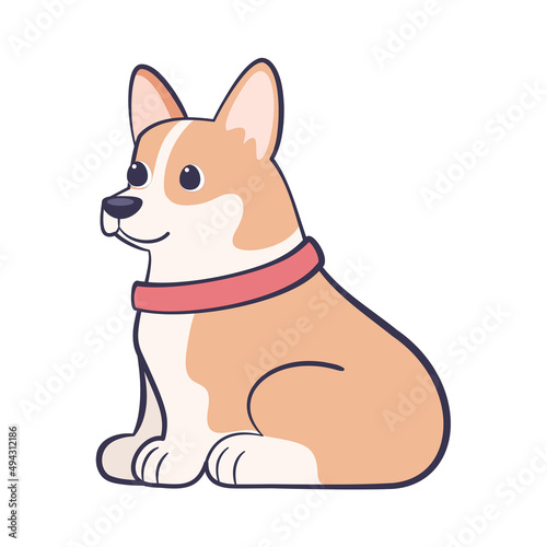 Isolated cute corgi dog breed cartoon Vector illustration