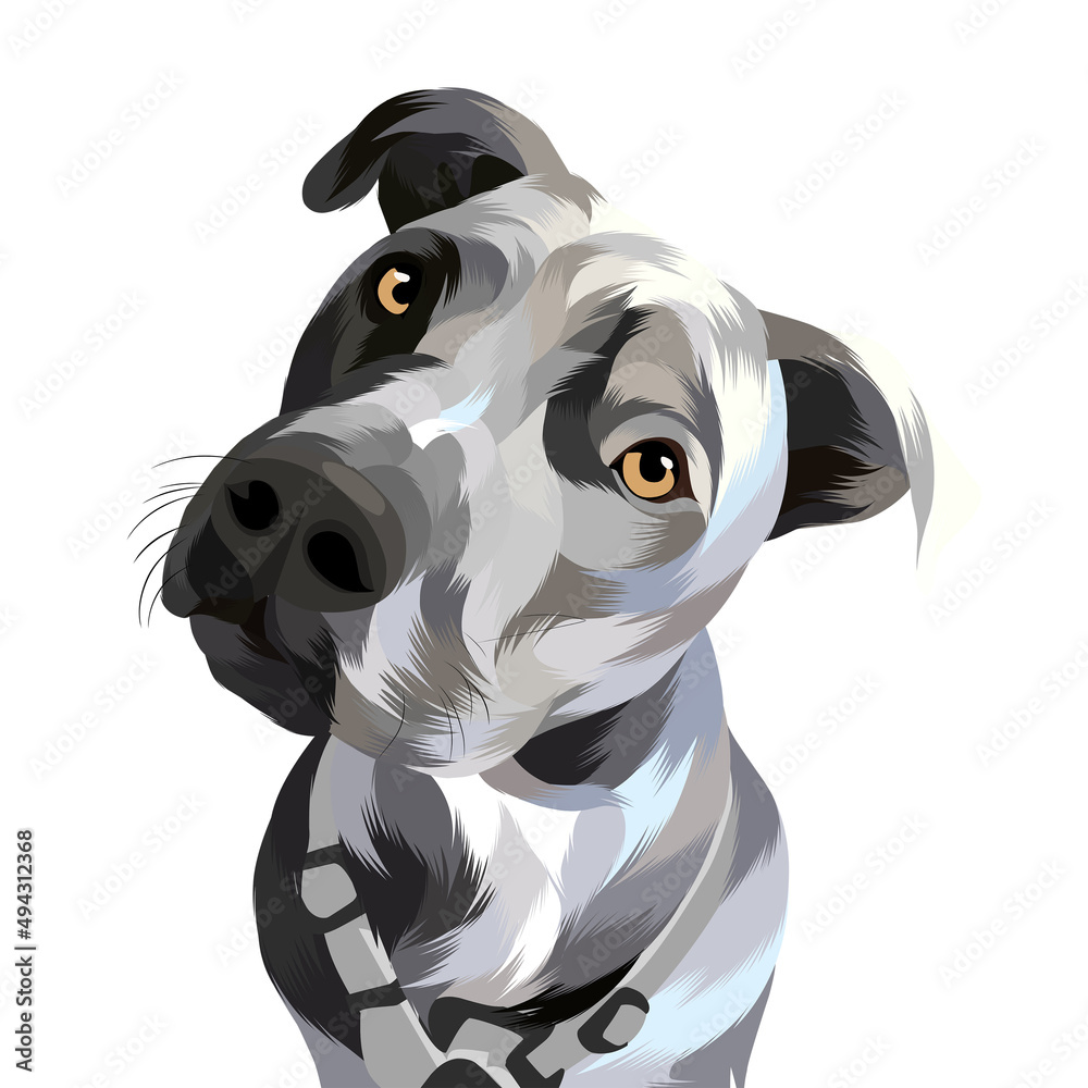 Animal vector colorful white background