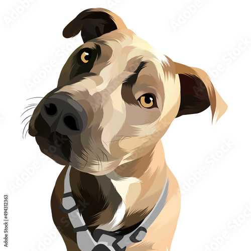 Animal vector colorful white background