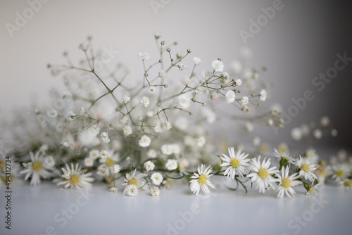 Beautiful photo of small white flowers, decoration for a wedding, on a white table, against a white wall, love, bride