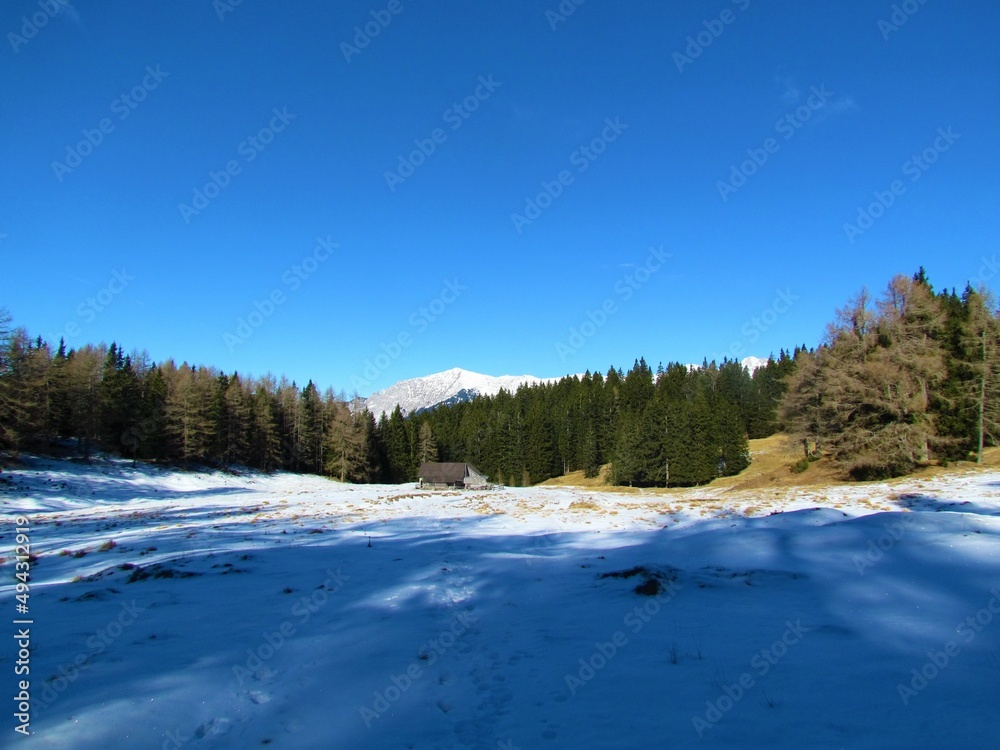 Winter view of snow covered mountain pasture at Konjscica in Karavanke mountains in Gorenjska region of Slovenia surrounded by conifer forest Winter view of snow covered mountain pasture at Konjscica in Karavanke mountains in Gorenjska region of Slovenia surrounded by conifer forest