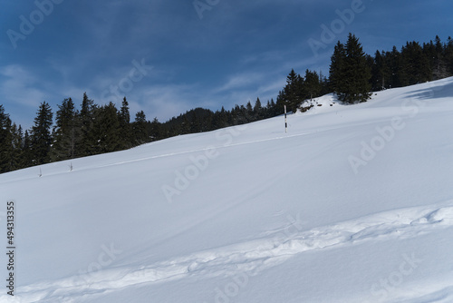 Winter landscape, Piatra Mare Mountains, Romania  © Ghidu