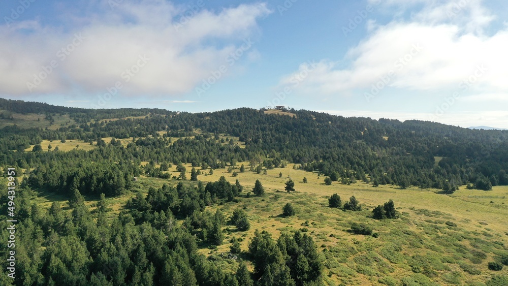 Fototapeta premium survol du massif des Pyrénées et des forets dans les Pyrénées-Orientales, sud de la France, parc naturel des Bouillouses