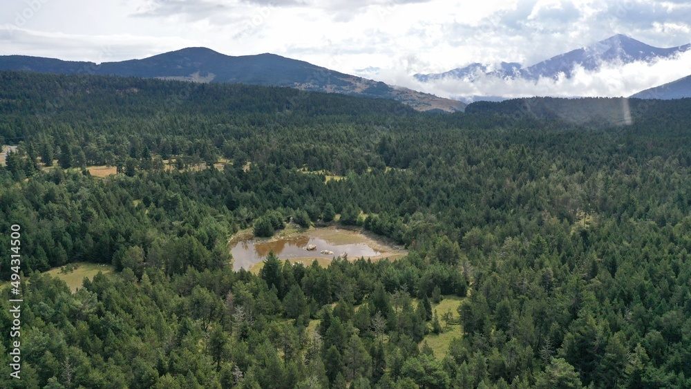 survol du massif des Pyrénées et des forets dans les Pyrénées-Orientales, sud de la France, parc naturel des Bouillouses	