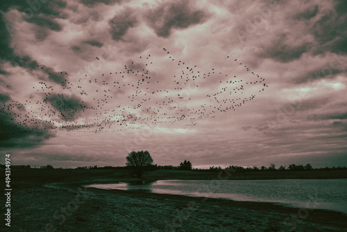 A beautiful landscape