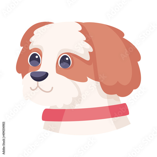 Isolated cute cavalier king charles spaniel dog breed cartoon Vector illustration