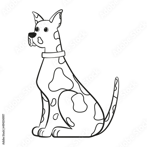 Isolated cute dalmatian dog breed cartoon Vector illustration