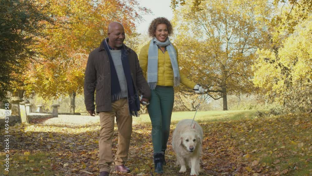 Senior couple with pet golden retriever dog walking in autumn countryside - shot in slow motion