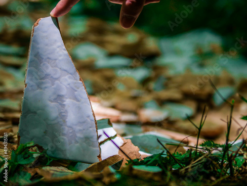 Ballade en foret. Mousse, passage du temps et feuilles mortes. 