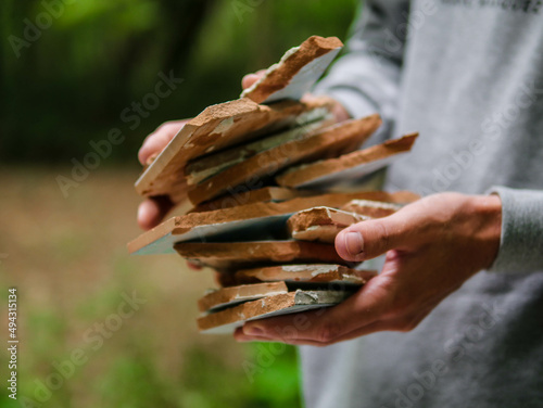 Ballade en foret. Mousse, passage du temps et feuilles mortes. 