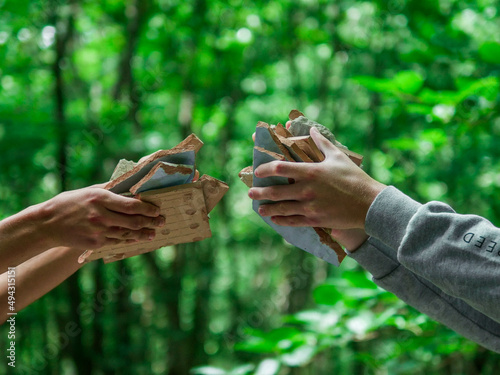 Ballade en foret. Mousse, passage du temps et feuilles mortes. 
