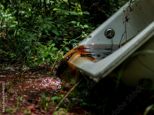 Ballade en foret. Mousse, passage du temps et feuilles mortes. 
