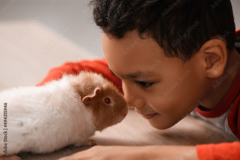 Little African-American boy with cute guinea pig at home Little African-American boy with cute guinea pig at home