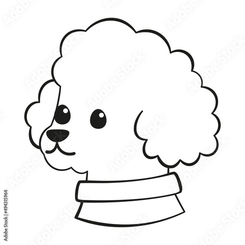 Isolated cute french poodle dog breed cartoon Vector illustration