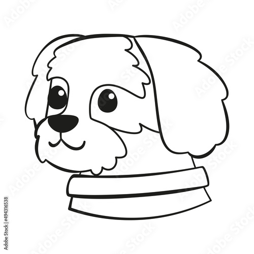 Isolated cute cavalier king charles spaniel dog breed cartoon Vector illustration