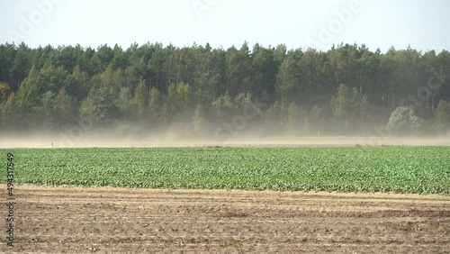 A strong wind raises dust and sand over a dry agricultural field. Drought during the planting of crops, grain crops. The threat of crop loss due to dry weather.