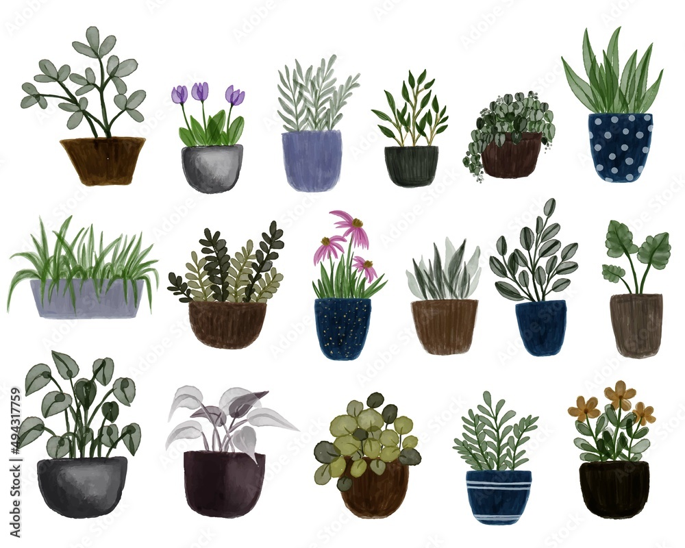 watercolor potted plant collection watercolor potted plant collection