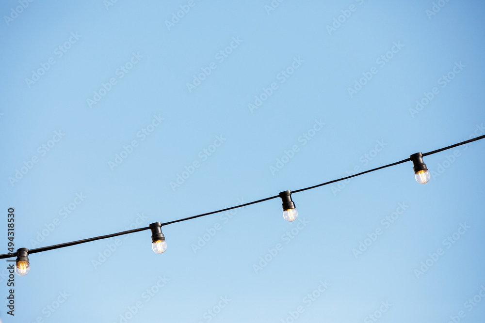 birds on wire birds on wire