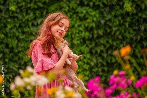 Teen girl in a pink dress with a white long-haired Chihuahua dog. Girl and pet.
