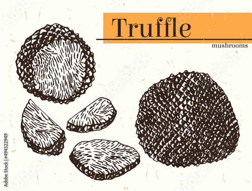 Vector drawn Set of Truffle Mushrooms. The concept of Expensive Delicatessen Mushrooms whole, cut into slices, halves, etc. Hand drawn Truffle isolated collection on kraft paper.