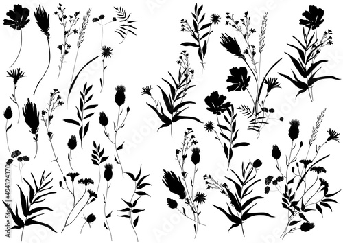 Big set silhouettes botanic floral elements. Branches, leaves, herbs, flowers. Garden, field, meadow wild plants collected in bouquet collection. Vector illustration isolated on white background