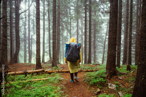 The back of a male tourist on a hike walks along a trail in a misty forest in the mountains © bodnarphoto