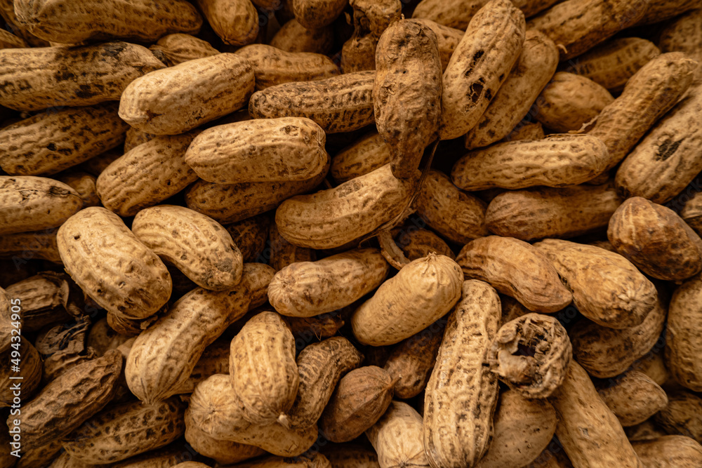 Fototapeta premium photography of various peanuts 