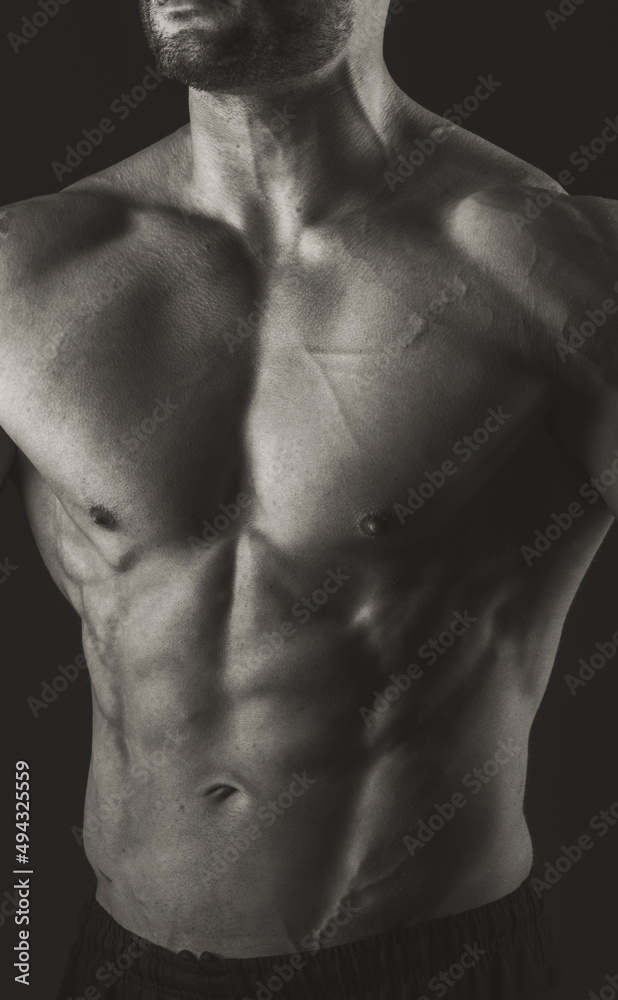Male torso. Closeup of chest and abs muscles. Black and white photo