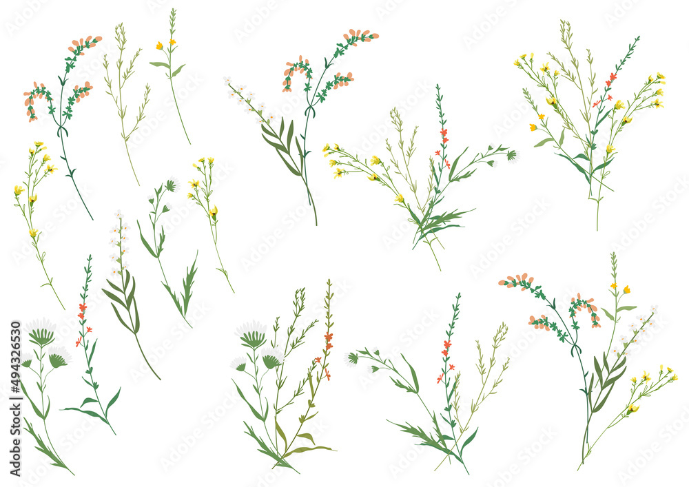 Big set botanic floral elements. Branches, leaves, foliage, herbs, flowers. Garden, field, meadow wild plants collected in bouquet collection. Colorful vector illustration isolated on white background Big set botanic floral elements. Branches, leaves, foliage, herbs, flowers. Garden, field, meadow wild plants collected in bouquet collection. Colorful vector illustration isolated on white background