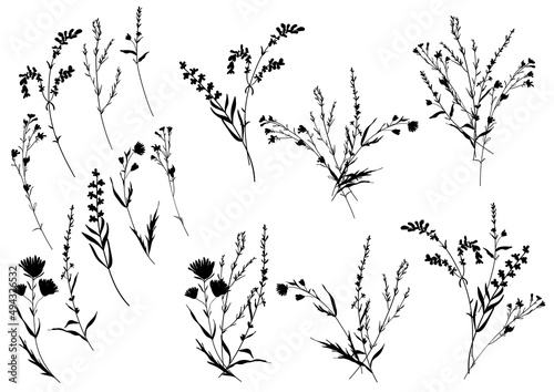 Big set silhouettes botanic floral elements. Branches, leaves, herbs, flowers. Garden, field, meadow wild plants collected in bouquet collection. Vector illustration isolated on white background
