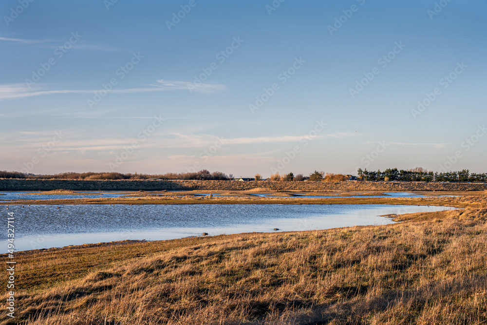 Saline lagoon at Rye Harbour nature reserve, East Sussex, England
