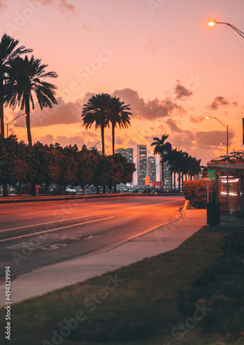 sunset in the city street road sky color orange miami usa florida skyscrapers palms  © Alberto GV PHOTOGRAP