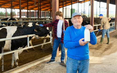 Elderly owner of cow farm with bottle of milk standing in stall on background with herd of cows on livestock farm