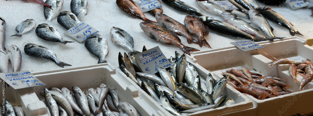 Auf Eis liegender frischer Fisch auf dem Markt von Saloniki Auf Eis liegender frischer Fisch auf dem Markt von Saloniki