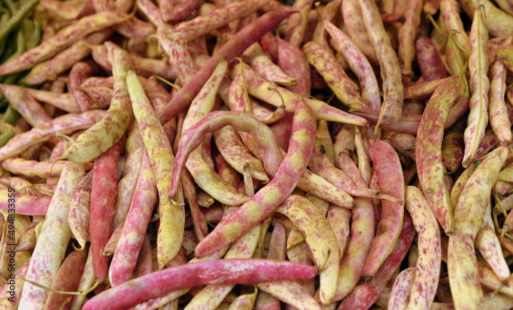 Frische Cranberry-Bohnen auf einem Markt Frische Cranberry-Bohnen auf einem Markt
